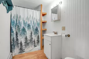 237 River Rd, Avon, ME 04966 - Photo 71
