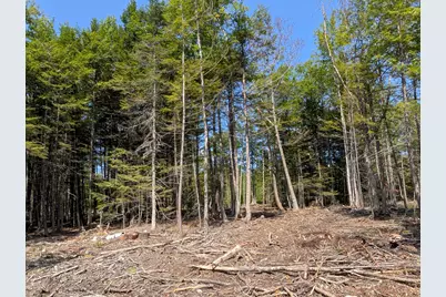 Lot 9A Maple Ridge Road, Harrison, ME 04040 - Photo 11
