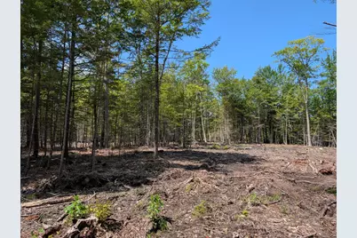 Lot 9A Maple Ridge Road, Harrison, ME 04040 - Photo 3