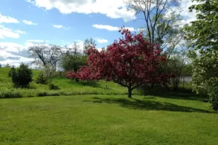 1261 Dexter Rd, Dover Foxcroft, ME 04426 - Photo 61
