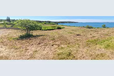 2195 Cutler Road, Cutler, ME 04626 - Photo 5
