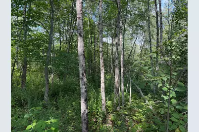 M14L24-2 Swan Lake Avenue, Monroe, ME 04951 - Photo 7