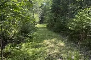 Tbd Abbott Rd, Albion, ME 04910 - Photo 19
