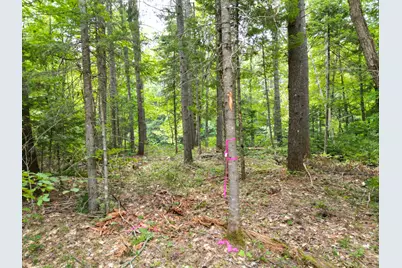 Lot 65-1 Church Street, Brownville, ME 04415 - Photo 11
