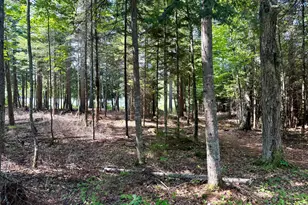 57 3 Triple Cove Island, Lily Bay Twp, ME 04441 - Photo 29