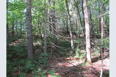 Mr10 L17 & 18 Sandy River Road, Starks, ME 04911 - Photo 15
