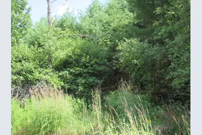 Mr10 L17 & 18 Sandy River Road, Starks, ME 04911 - Photo 7