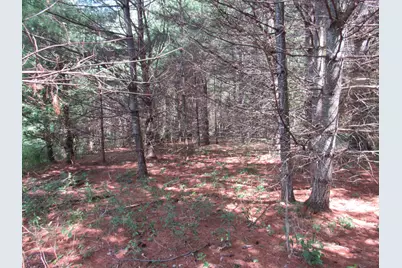 Mr10 L17 & 18 Sandy River Road, Starks, ME 04911 - Photo 3