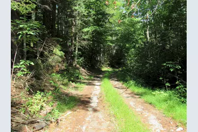 Mr10 L17 & 18 Sandy River Road, Starks, ME 04911 - Photo 11