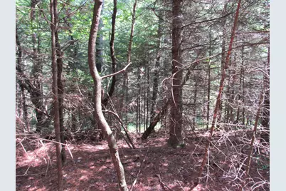 Mr10 L17 & 18 Sandy River Road, Starks, ME 04911 - Photo 5