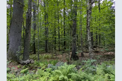 Lot 121 Old Country Way, Limerick, ME 04048 - Photo 1
