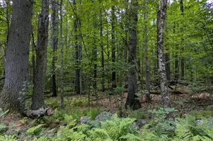 Lot 121 Old Country Way, Limerick, ME 04048 - Photo 1