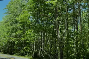 Map 5 Lot 22A Punk Point Rd, Jefferson, ME 04348 - Photo 1