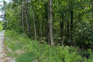 Lot 94 Long St, Limerick, ME 04048 - Photo 1