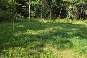 5 Timber Trl, Springfield, ME 04487 - Photo 5