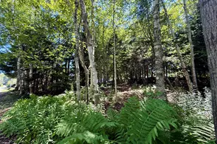 10 Dresner St, Eastport, ME 04631 - Photo 25