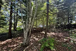 10 Dresner St, Eastport, ME 04631 - Photo 29