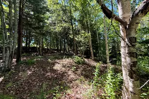 10 Dresner St, Eastport, ME 04631 - Photo 27