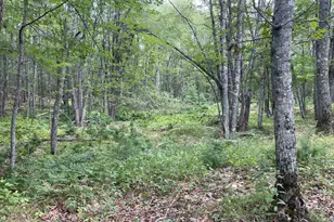 M3 L27-6 Arrowsic Rd, Arrowsic, ME 04530 - Photo 1