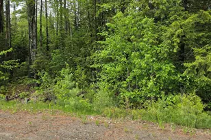 Lot 81-1 Lower Detroit Rd, Plymouth, ME 04969 - Photo 1