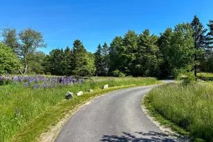 11 Brookside Road (Somesville), Mount Desert, ME 04660 - Photo 109