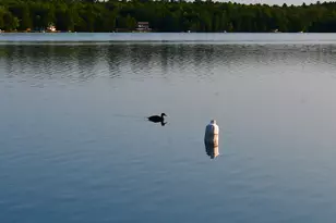 308 Stanhope Mill Rd, Lincoln, ME 04457 - Photo 37