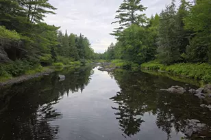 Lot N US Rt 2, Macwahoc, ME 04451 - Photo 1