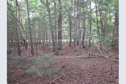 Lot N US Rt 2, Macwahoc, ME 04451 - Photo 3