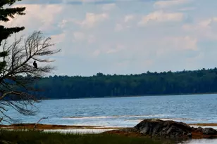54 Landing Rd S, Hancock, ME 04640 - Photo 3