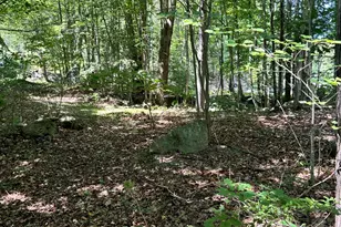 0 Poor Farm Rd, Lyman, ME 04002 - Photo 1