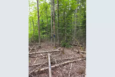 M7 Lot 1 Old Winn Road, Springfield, ME 04487 - Photo 5