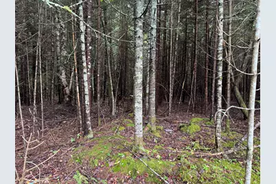 Lot 17 Kelley Lane, Trenton, ME 04605 - Photo 5