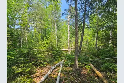 P/O 2016 Hudson Road, Hudson, ME 04449 - Photo 21