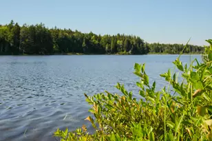 626 Aroostook Scenic Hwy, Moro Plantation, ME 04780 - Photo 99
