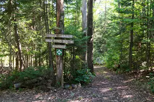 626 Aroostook Scenic Hwy, Moro Plantation, ME 04780 - Photo 97