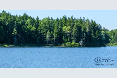 626 Aroostook Scenic Highway, Moro Plantation, ME 04780 - Photo 103