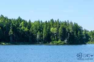 626 Aroostook Scenic Hwy, Moro Plantation, ME 04780 - Photo 103