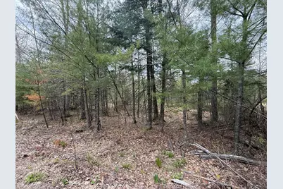 M R14 L 42 T M Wentworth (Lot B) Road, Lebanon, ME 04027 - Photo 3