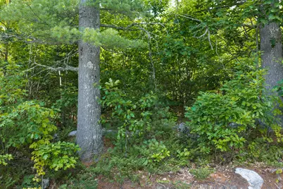 Lot 1 Bell Hill Road, Otisfield, ME 04270 - Photo 3