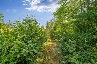 26 Wolf Cove Road, Eastbrook, ME 04634 - Photo 73
