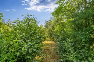 26 Wolf Cove Rd, Eastbrook, ME 04634 - Photo 73
