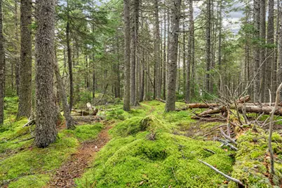 M4L18,18-2 Merchant Point Road, Deer Isle, ME 04627 - Photo 17