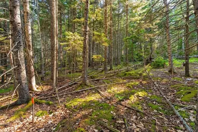 M4L18,18-2 Merchant Point Road, Deer Isle, ME 04627 - Photo 25