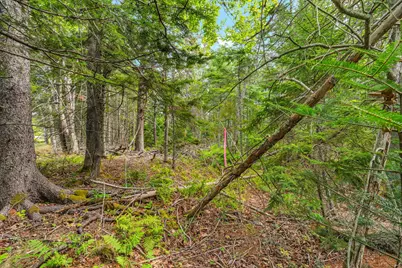 M4L18,18-2 Merchant Point Road, Deer Isle, ME 04627 - Photo 39