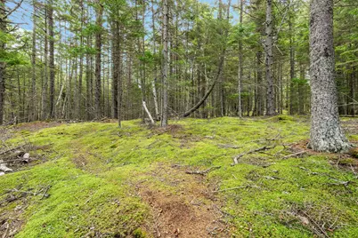 M4L18,18-2 Merchant Point Road, Deer Isle, ME 04627 - Photo 35
