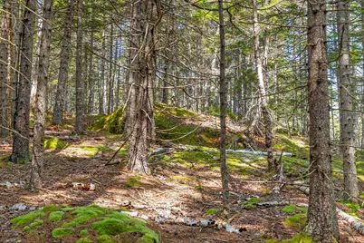 M4L18,18-2 Merchant Point Road, Deer Isle, ME 04627 - Photo 43
