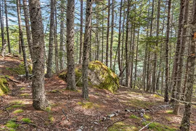 M4L18,18-2 Merchant Point Road, Deer Isle, ME 04627 - Photo 21