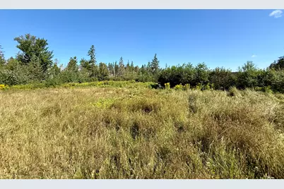 736 Leighton Point Road, Pembroke, ME 04666 - Photo 23