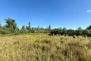 736 Leighton Point Rd, Pembroke, ME 04666 - Photo 23