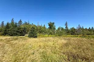 736 Leighton Point Rd, Pembroke, ME 04666 - Photo 25